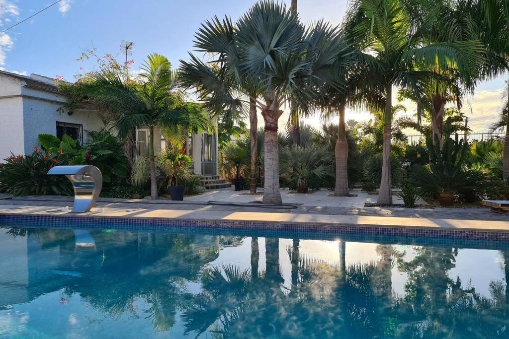 Tropical Paradise Villa In Торевьиа Экстерьер фото