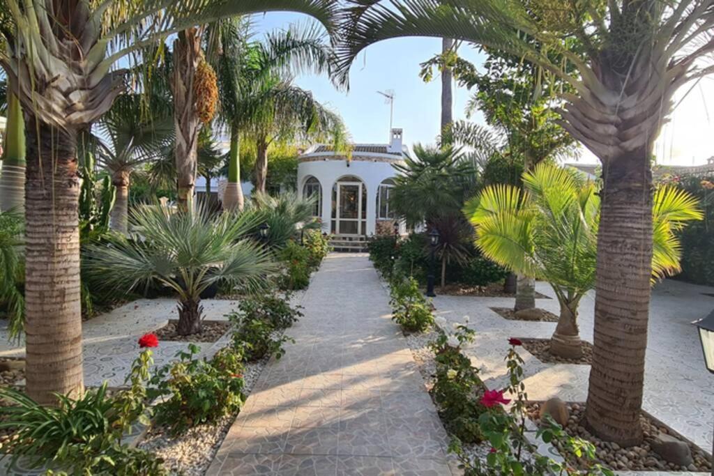 Tropical Paradise Villa In Торевьиа Экстерьер фото