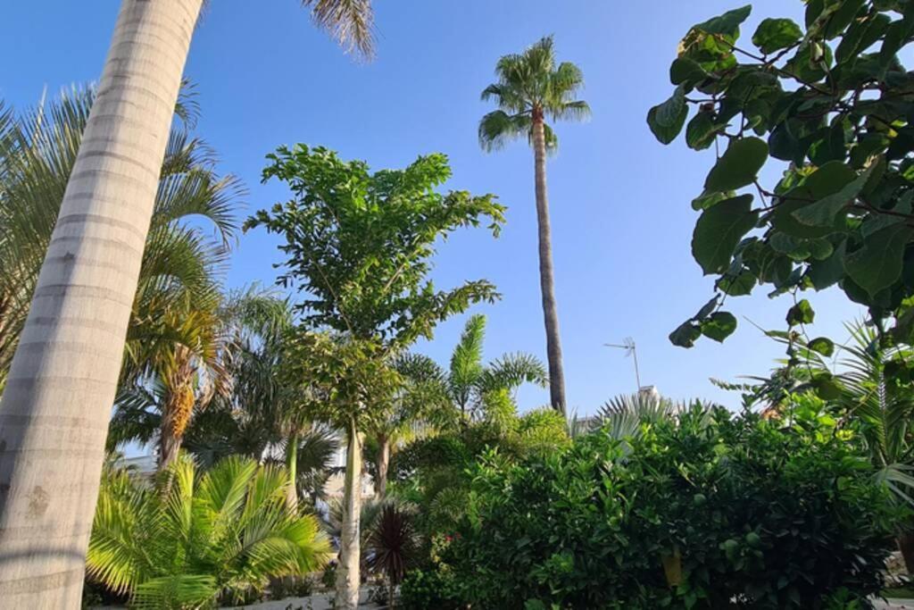 Tropical Paradise Villa In Торевьиа Экстерьер фото