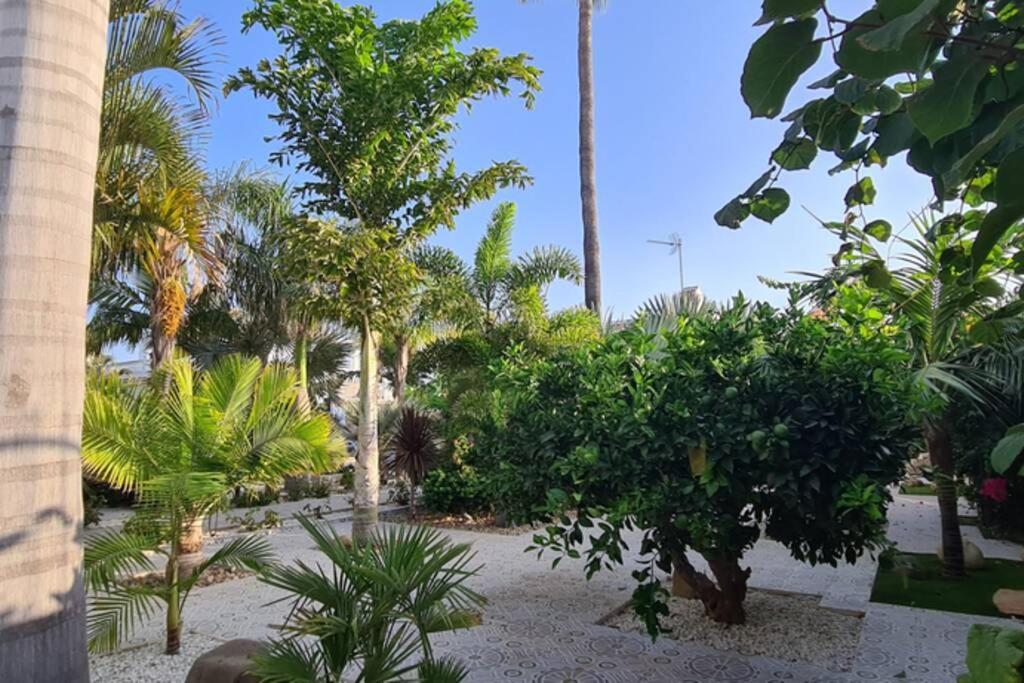 Tropical Paradise Villa In Торевьиа Экстерьер фото